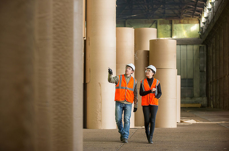 Whakatane Mill увеличит производство картона на заводе в Новой Зеландии