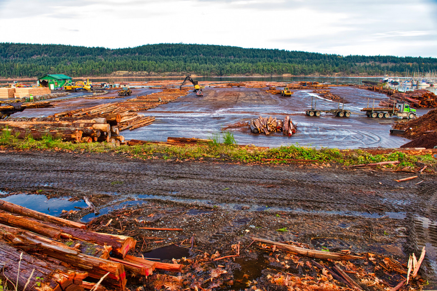 Canada launches Forest Sector Action Plan