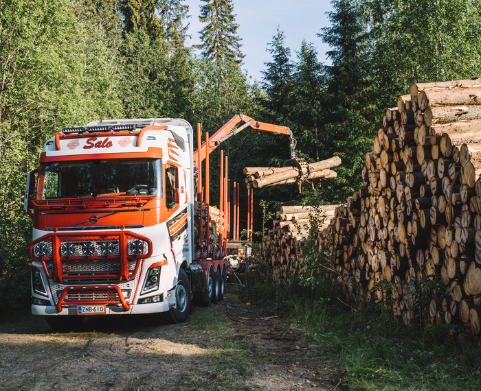 Metsä Group намерена на 30% сократить выбросы парниковых газов при поставках древесины