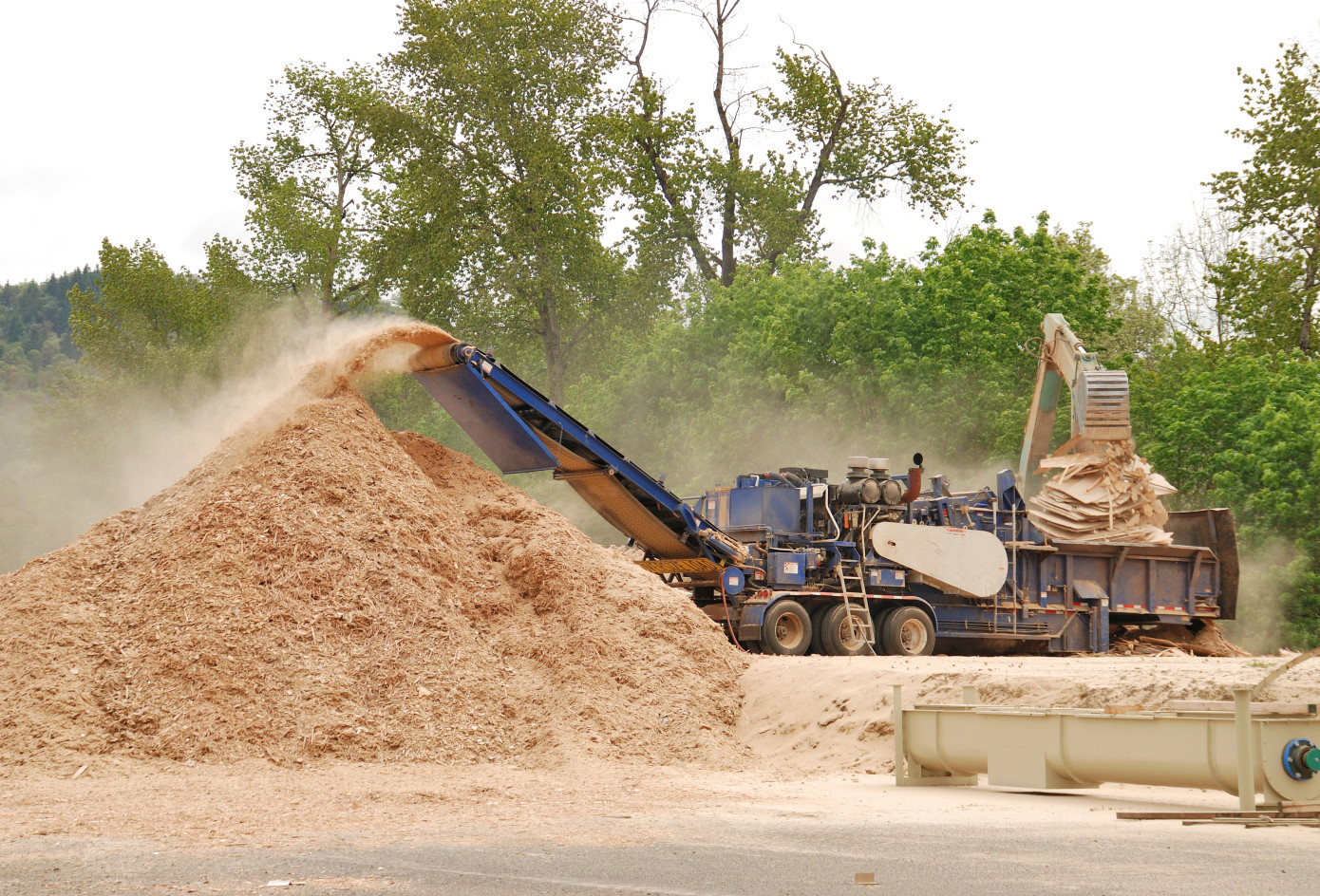 China"s average price of imported wood chips drops for seven consecutive months