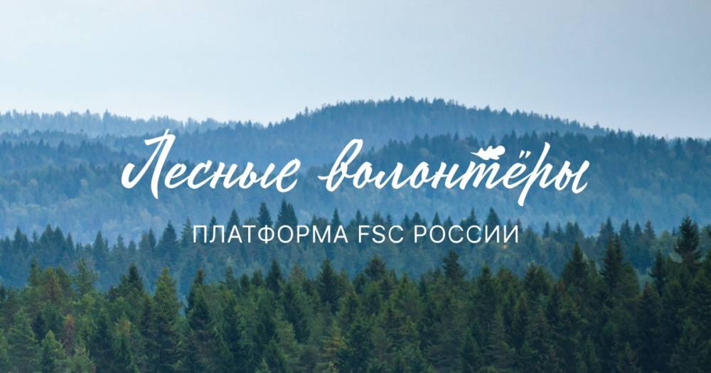 FSC России запустила платформу «Лесные волонтеры»