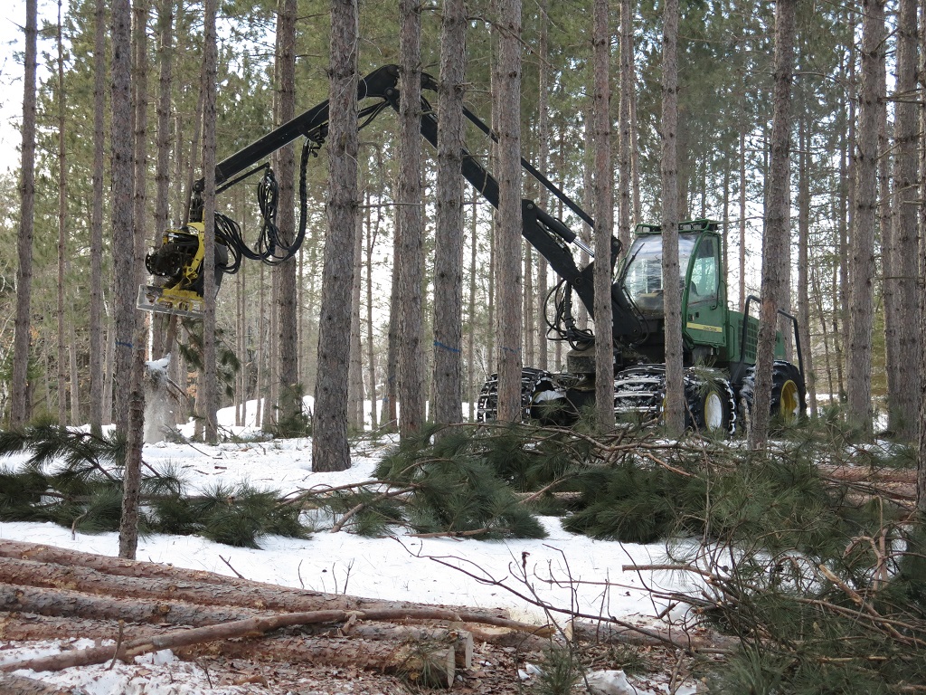 Ontario Woodlot Association and the Eastern Ontario Model Forest to merge