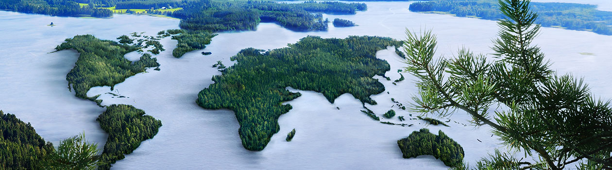 Finnpulp намерена добиться природоохранного разрешения на строительство целлюлозного комбината в Финляндии