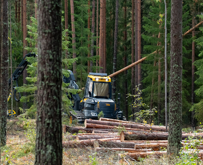 Metsä Group повышает устойчивость лесозаготовок