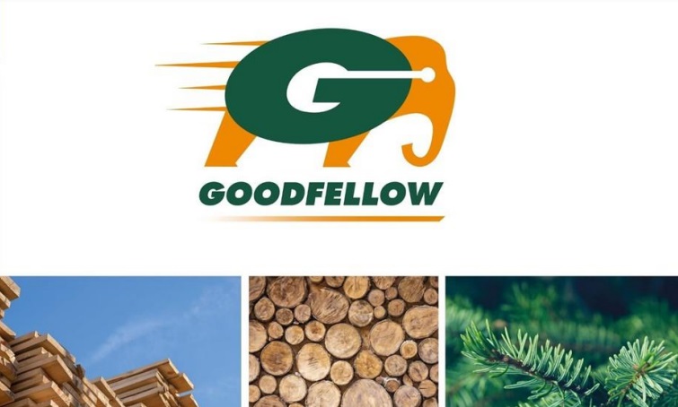 Goodfellow names Robert Hall as Chair of its Board of Directors