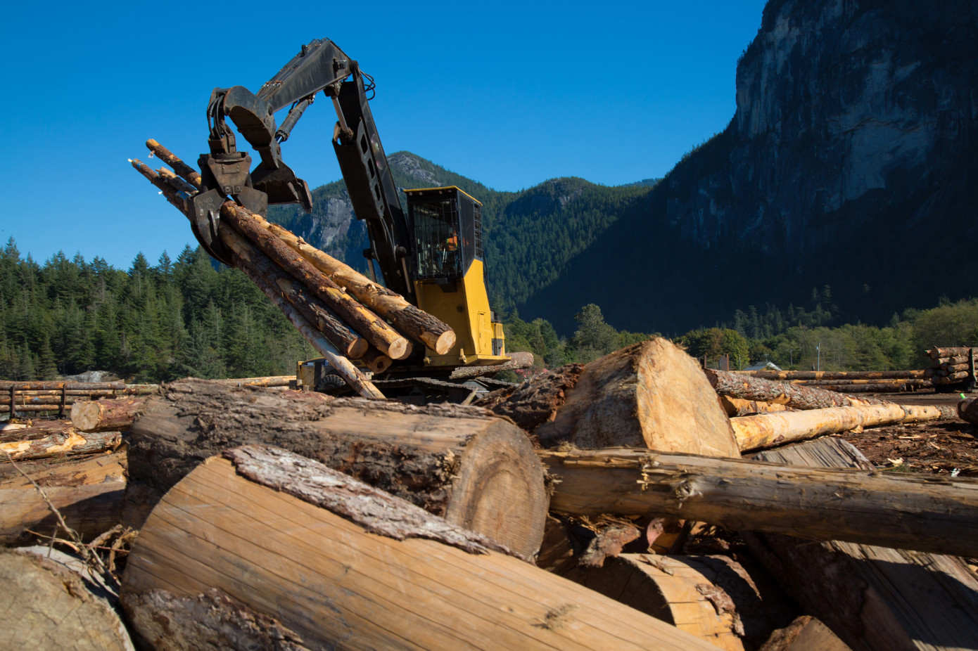 Canada launches $500 million forest-sector retooling support