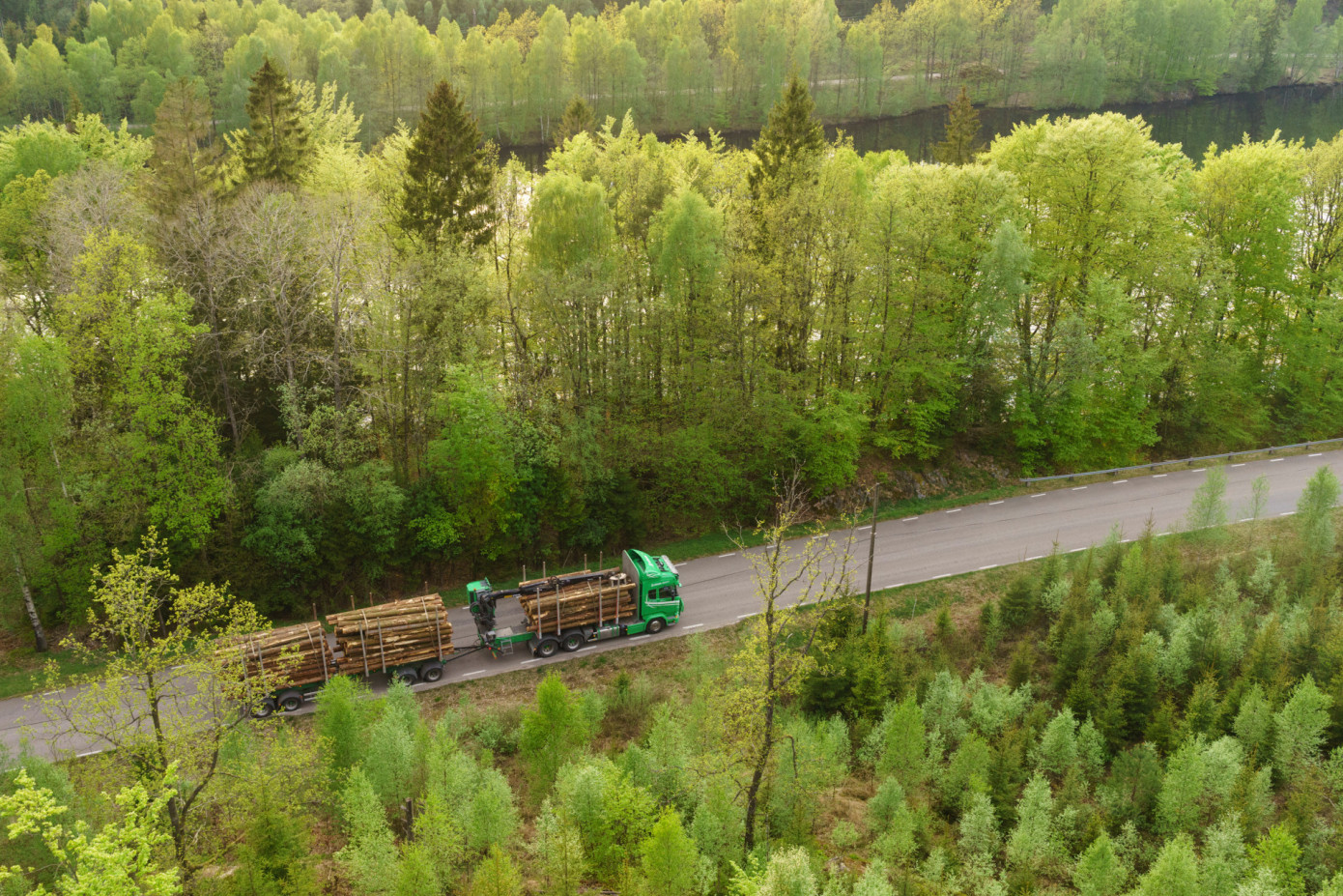 Södra announces price increases across timber and wood products