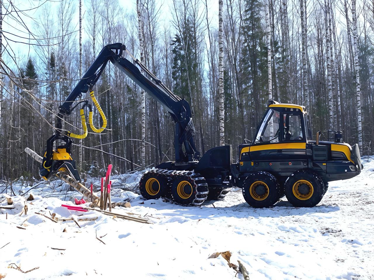 «Свеза» начала реализацию программы «Лесной колледж»