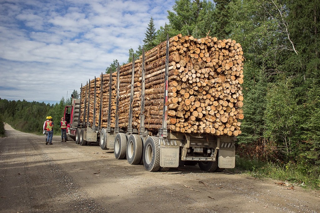 Provectus Robotics to bring autonomous logging trucks to Northern Ontario, Canada