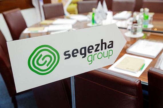 В январе-сентябре 2023 г. выручка Segezha Group снизилась на 20%