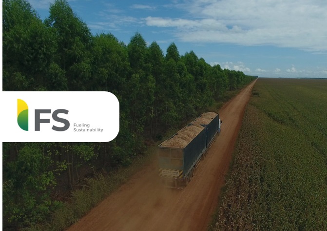 FS to implement Remsoft strategic forest planning for biomass energy in Brazil