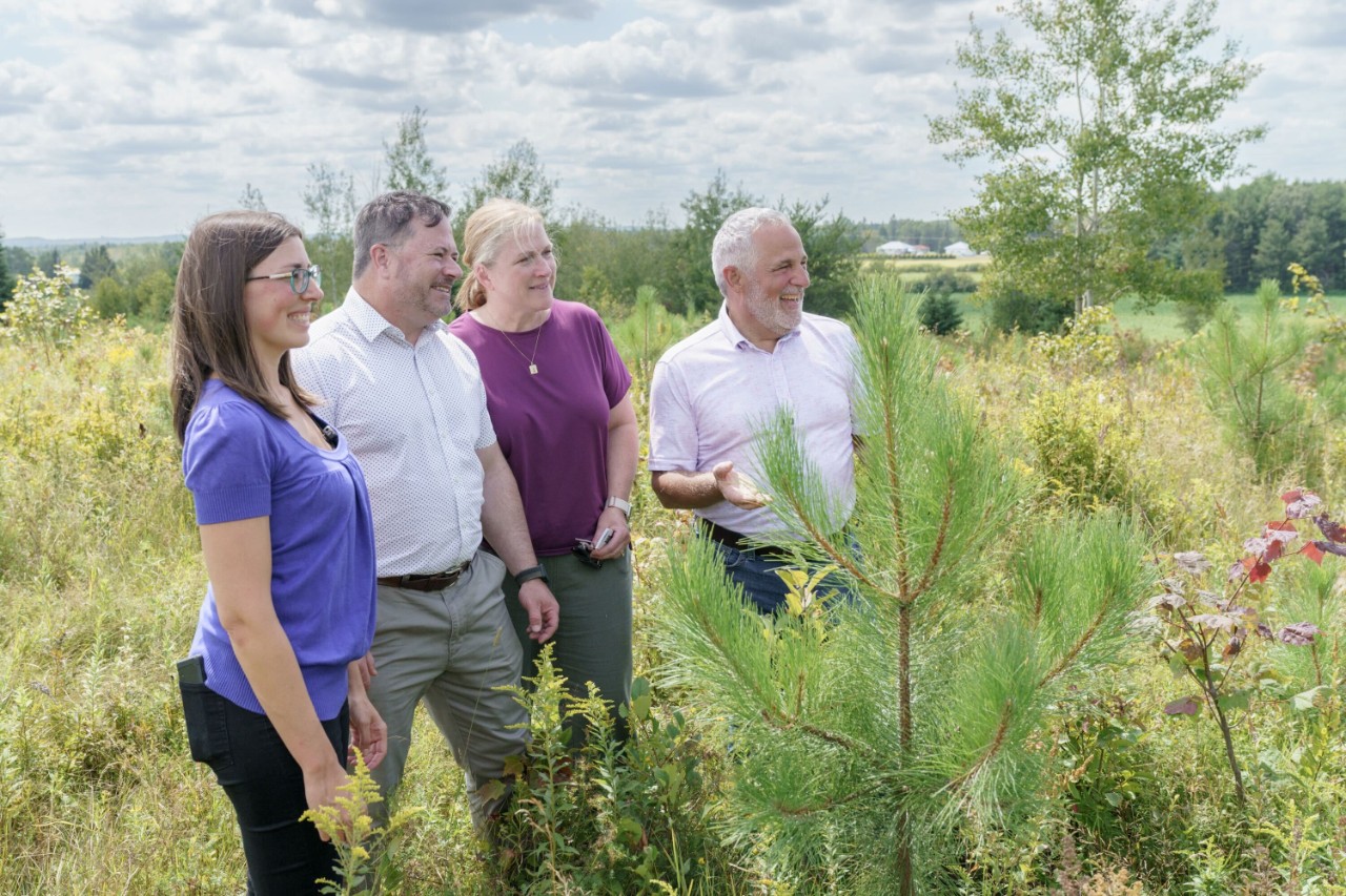 Canada and Ontario enhance tree-planting capacity to combat climate change