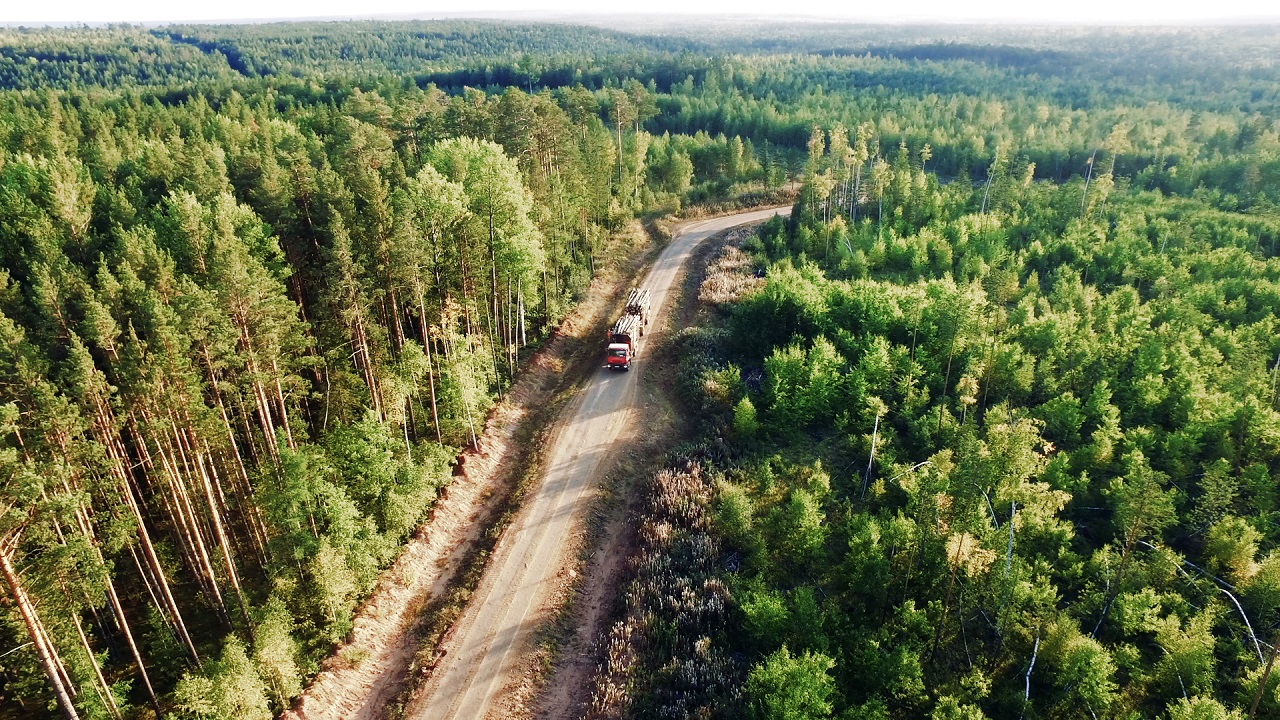 Группа «Илим» инвестирует 32,5 млн руб. в защиту лесов от пожаров