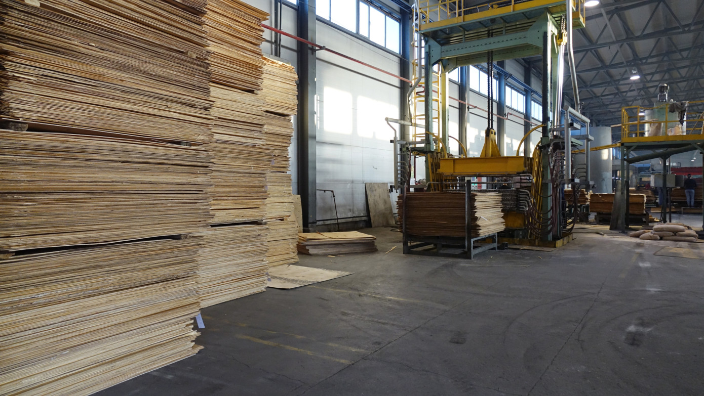 Brazilian plywood exports to US fall 62% in July
