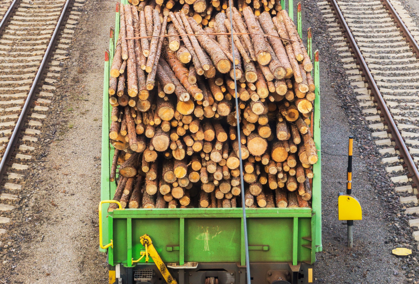 Exports of sawlog from Germany to China contract 38% in December