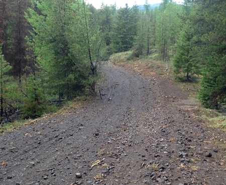 The Forest Practices Board to audit forest service roads in three natural resource districts in Canada