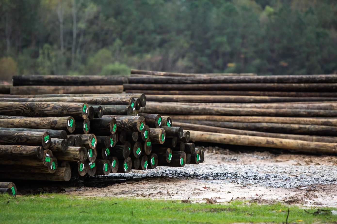 Koppers Holdings Inc. opens new utility pole facility in Leesville, Louisiana
