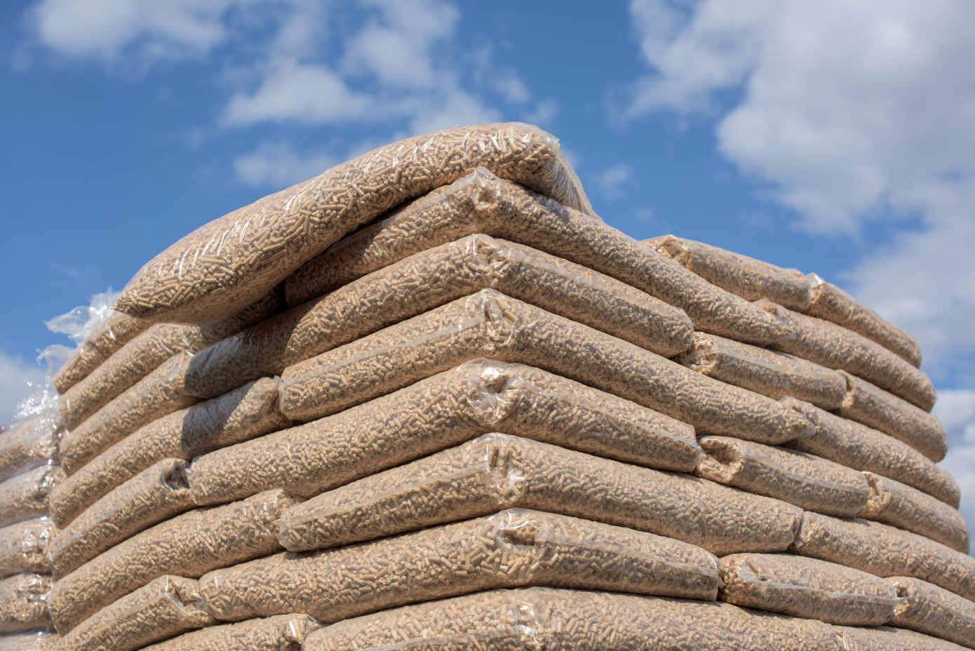 Imports of wood pellets to UK increase 21% in March