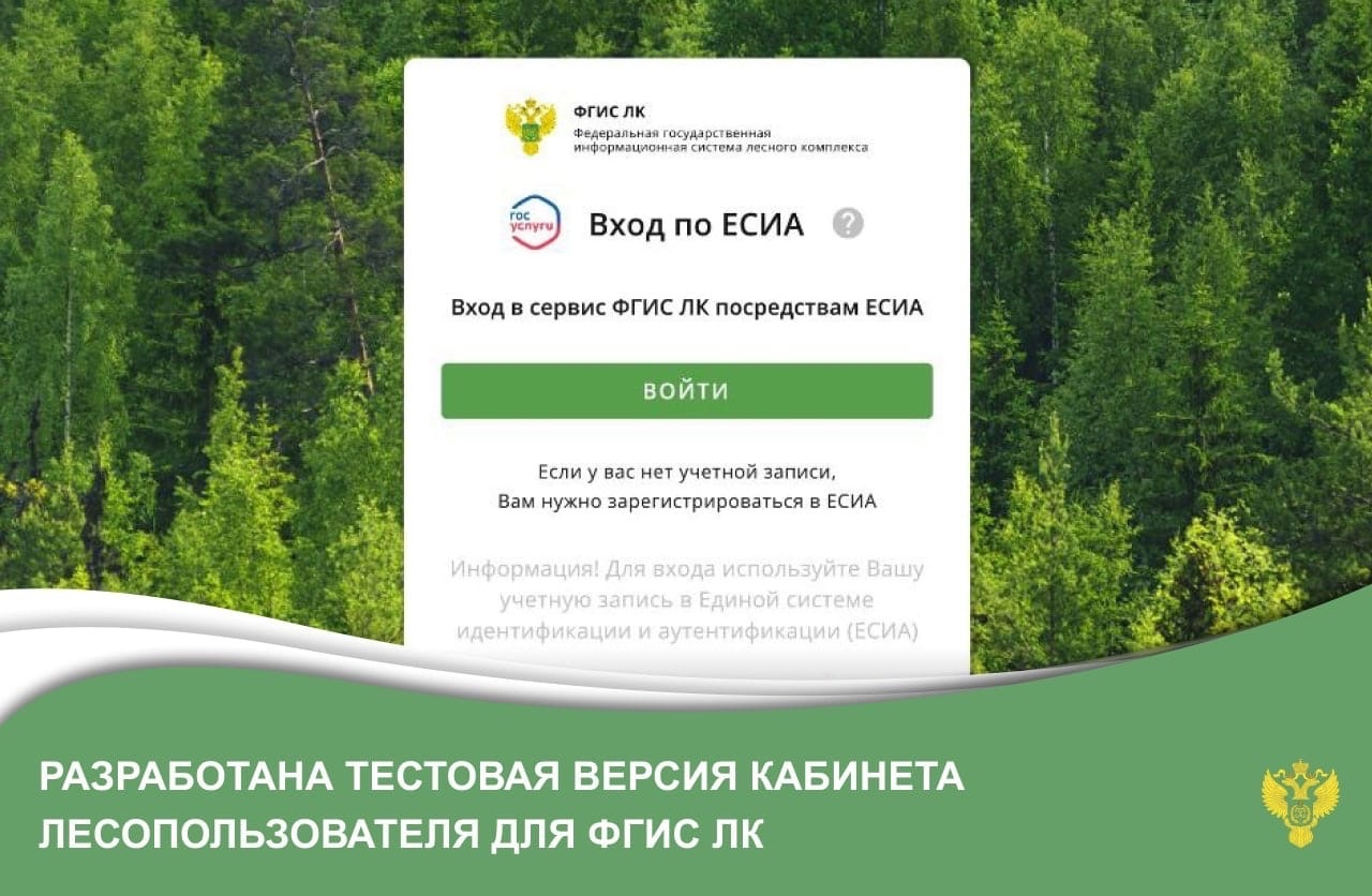 Рослесхоз: разработана тестовая версия кабинета лесопользователя для ФГИС ЛК