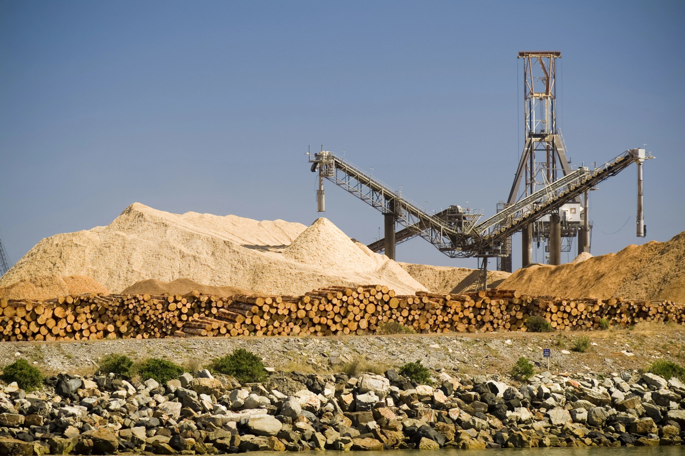 Australia expands wood chip exports to China in August