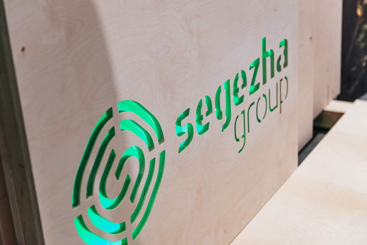В 2023 г. выручка Segezha Group снизилась на 9%