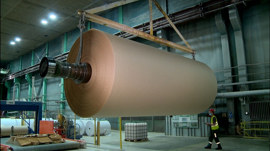 International paper store board industry