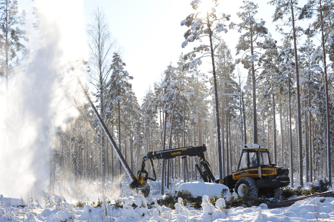 В 4 кв. 2023 г. запасы круглого леса в Швеции снизились на 4%