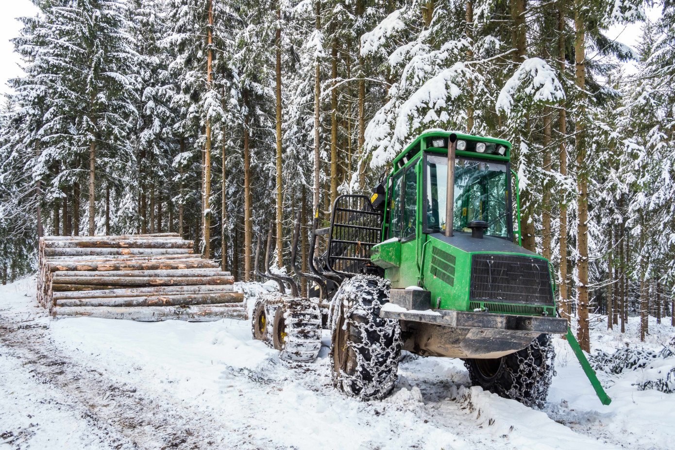 Swedish softwood sawlog stocks increase 10% from last year in first quarter
