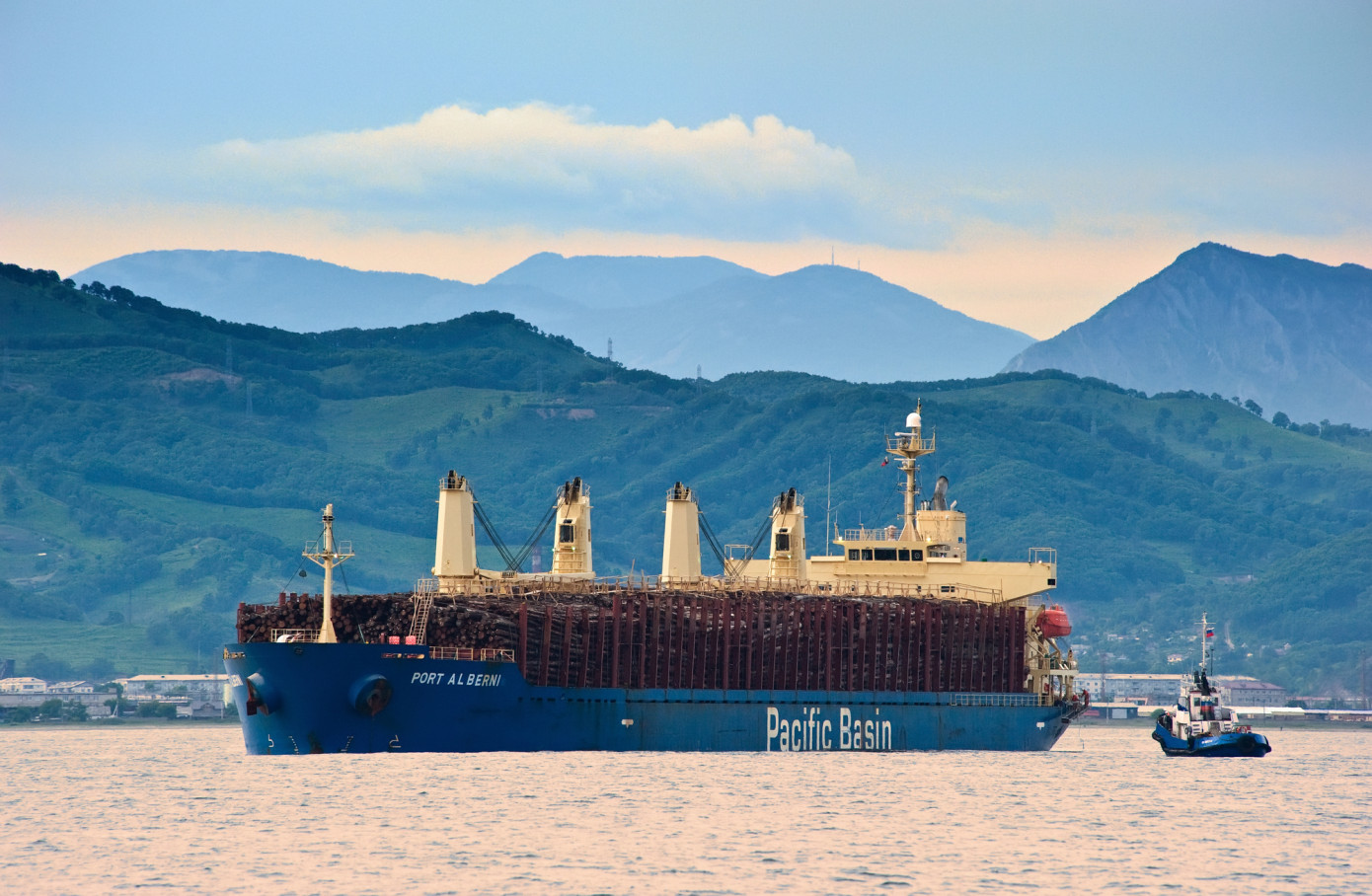 Exports of logs from U.S. lose 25% in July
