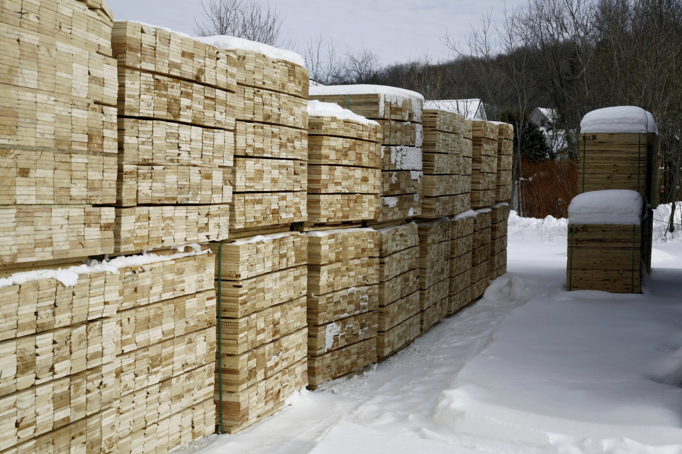 Canada"s lumber output jumps 16.4% in January