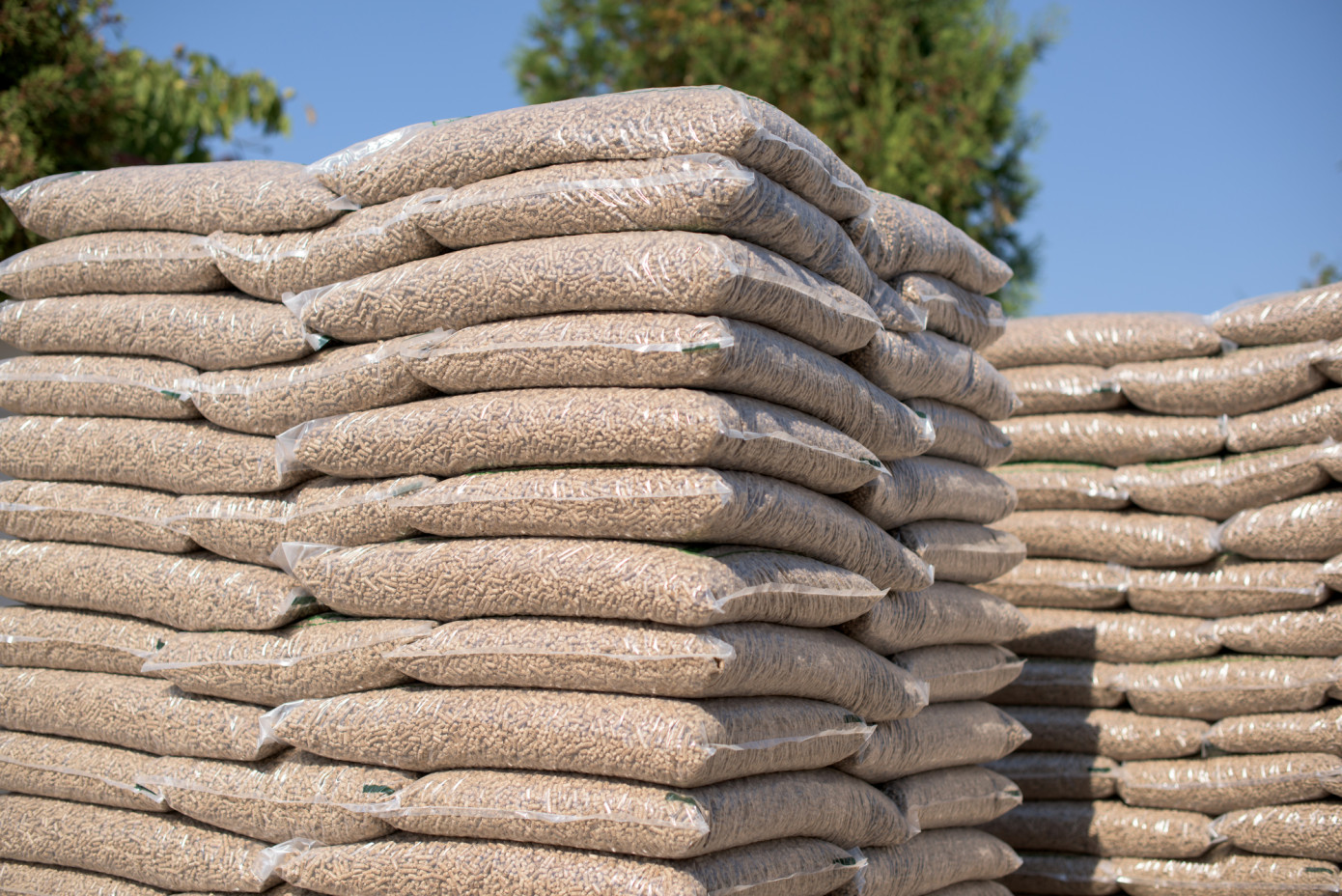 In March, price for wood pellets exported from Canada increases 8%