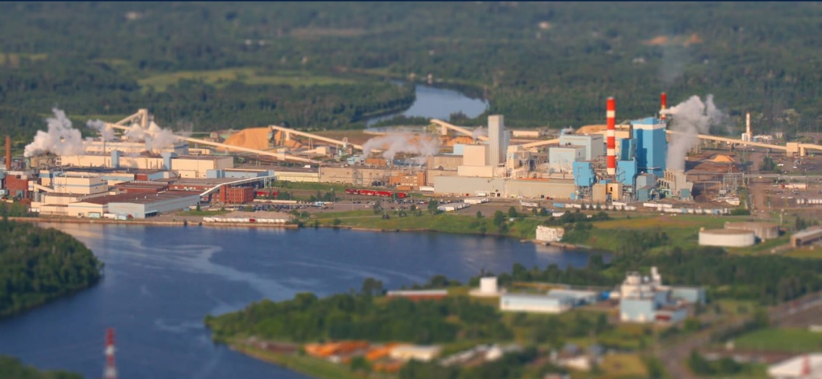 Ontario invests more than $9.4 million in 14 forest biomass initiatives