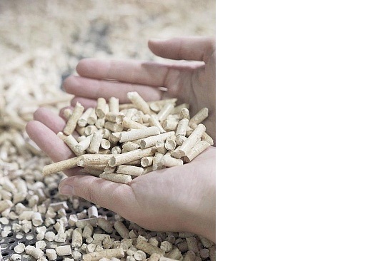 Segezha Group produces trial batch of pellets in Sokol, Russia