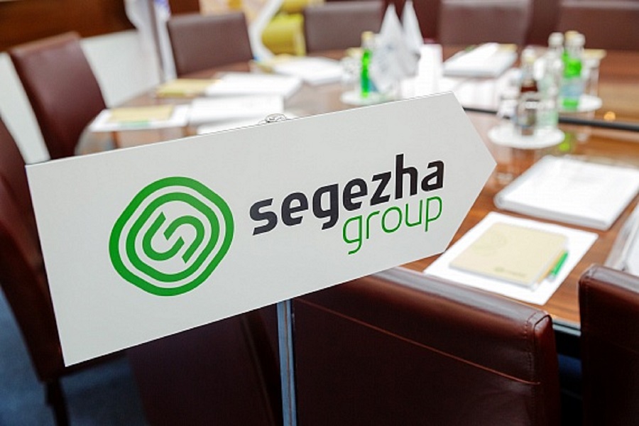 Выручка Segezha Group в первом квартале 2023 г. снизилась на 42%