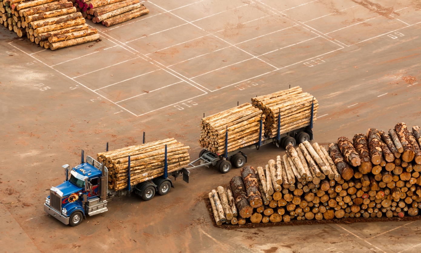 В марте экспортная цена на круглый лес из США уменьшилась на 10%