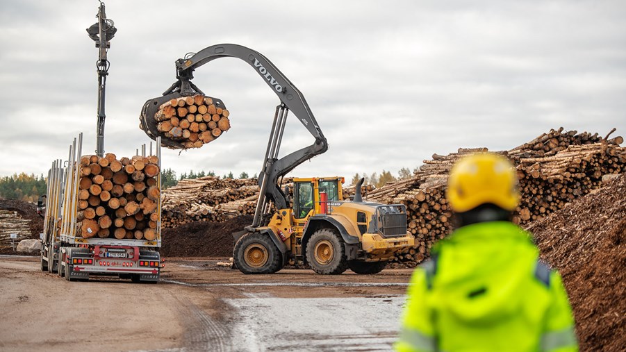 Swedish forest industry hits export record in 2022