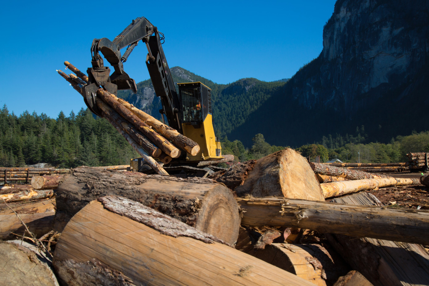 Canadian wood product manufacturing operates at 77.1% capacity in Q1 2023