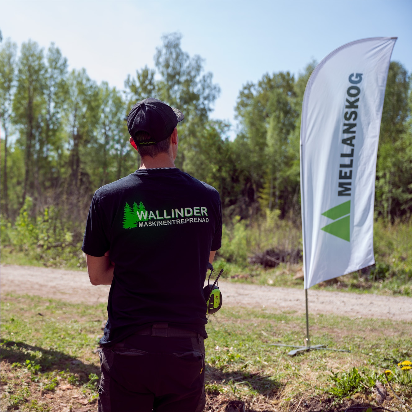В январе-сентябре 2023 г. продажи Mellanskog выросли на 8,5%