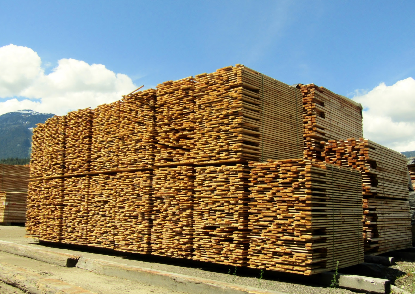 Canadian exports of lumber decline 13% in May