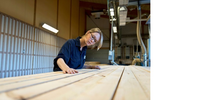 Holmen to invest SEK 400 million ($44.4 million) in Iggesund Sawmill