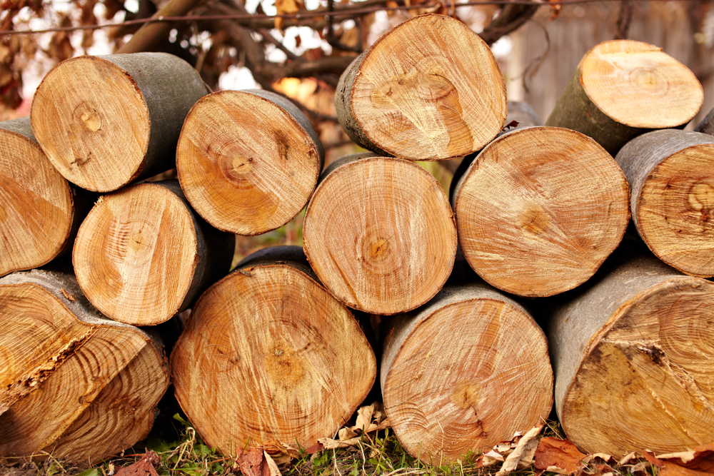 Exports of logs from U.S. expand 23% in December