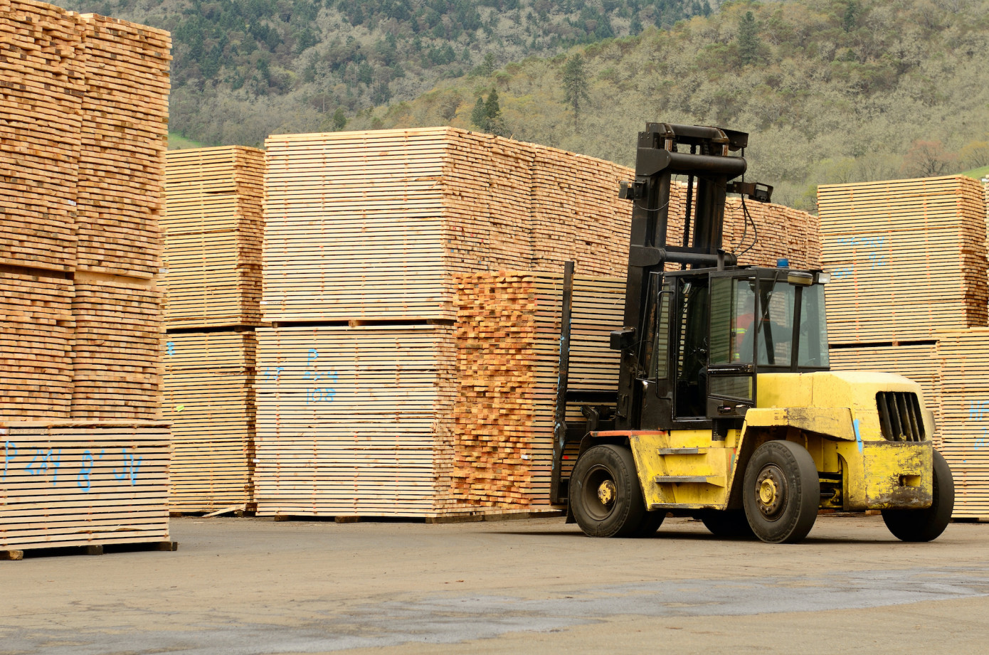 US softwood lumber production increased by 5% in January-February 2020