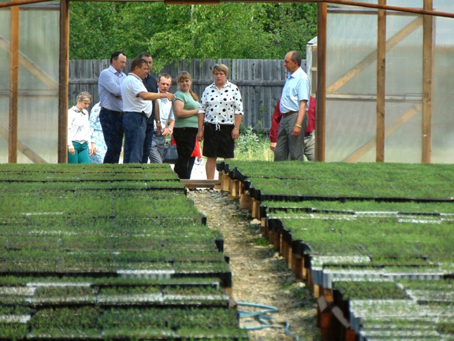 В Хабаровском крае открыли новую теплицу для выращивания сеянцев хвойных пород
