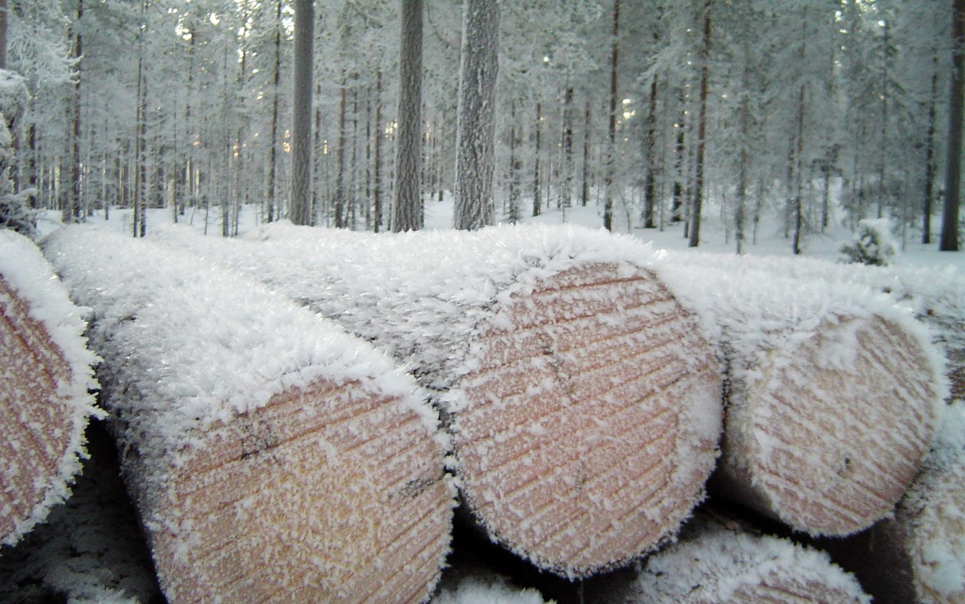 В 4 кв. 2025 г. цены на пиловочник в Швеции выросли на 2—3%