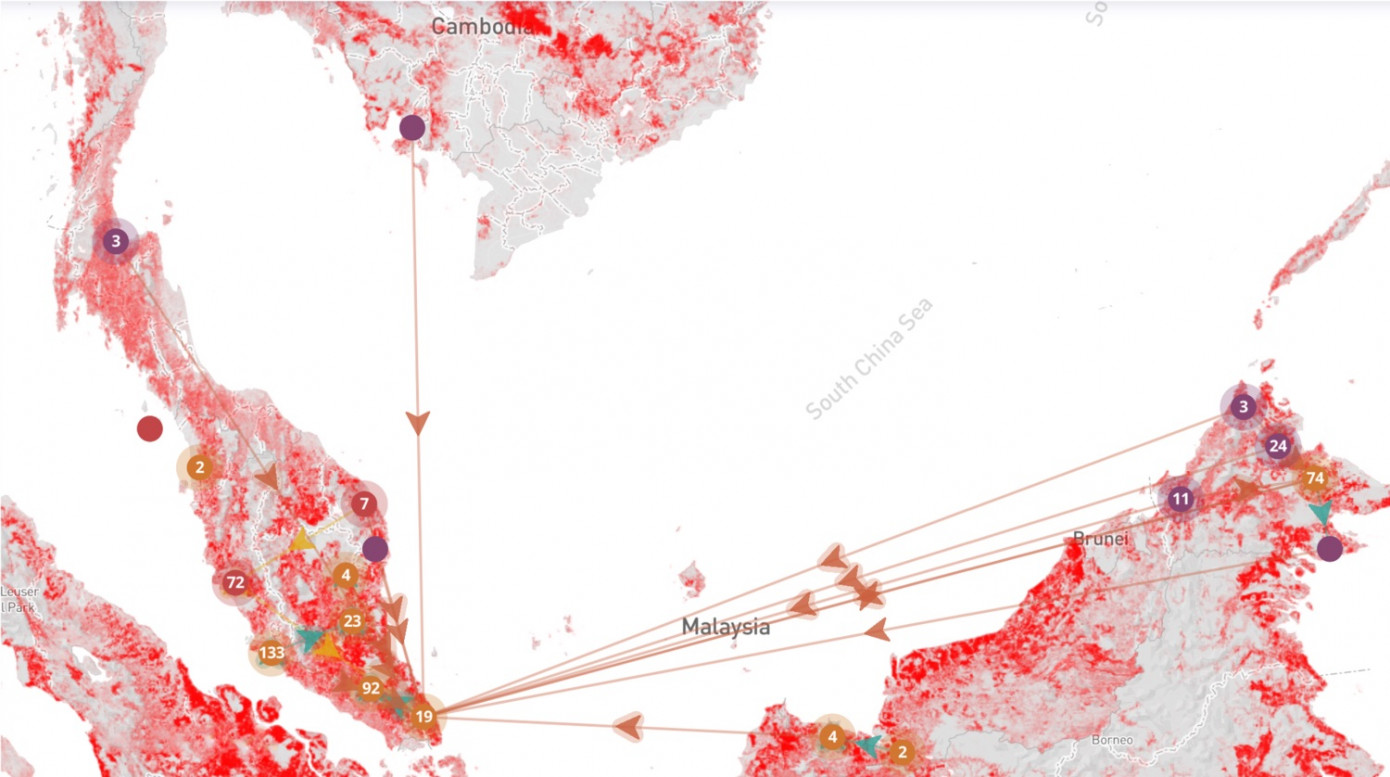 DoubleHelix, Bluenumber and Sourcemap launch timber traceability platform