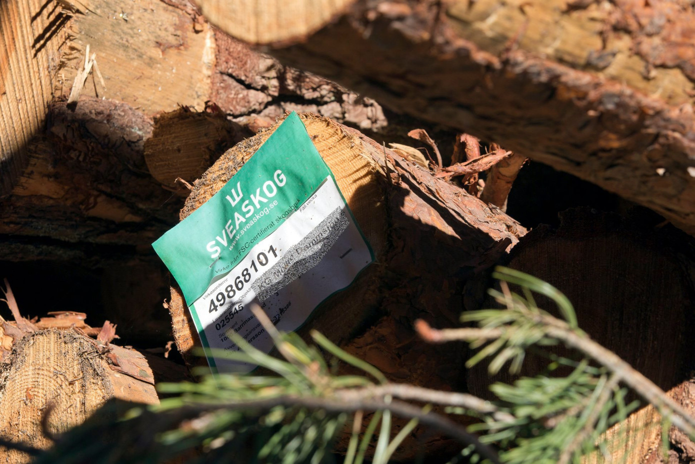 В первом квартале продажи Sveaskog снизились на 9%