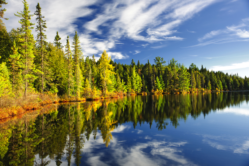 Canada’s Indigenous Forestry Initiative accepts new applications