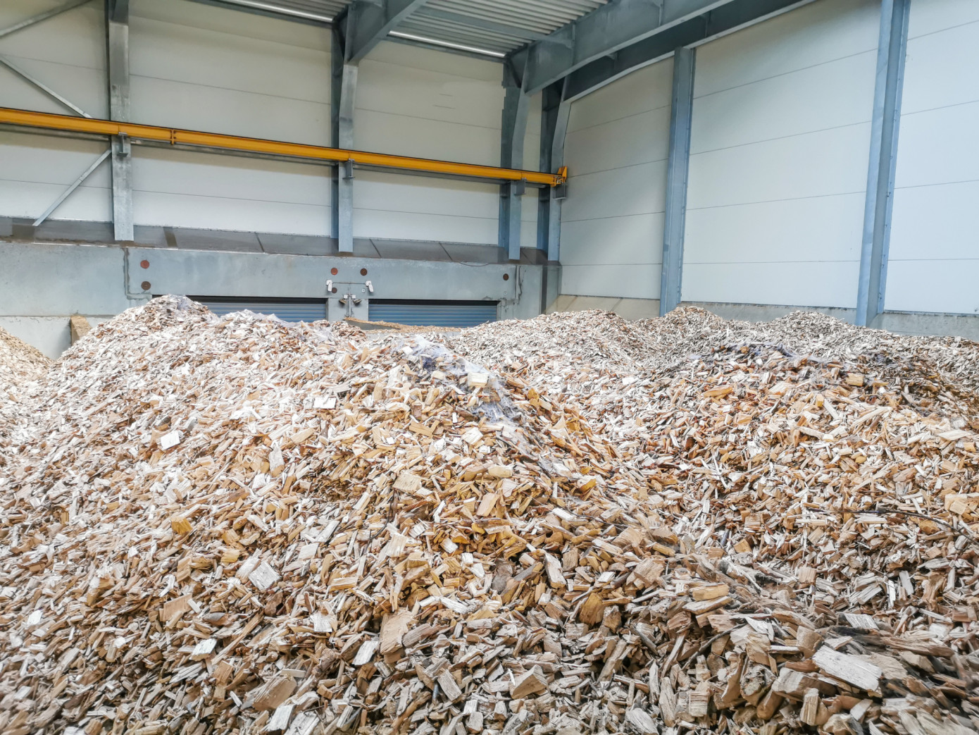 In February, price for wood chips exported from Vietnam to China slips 3%