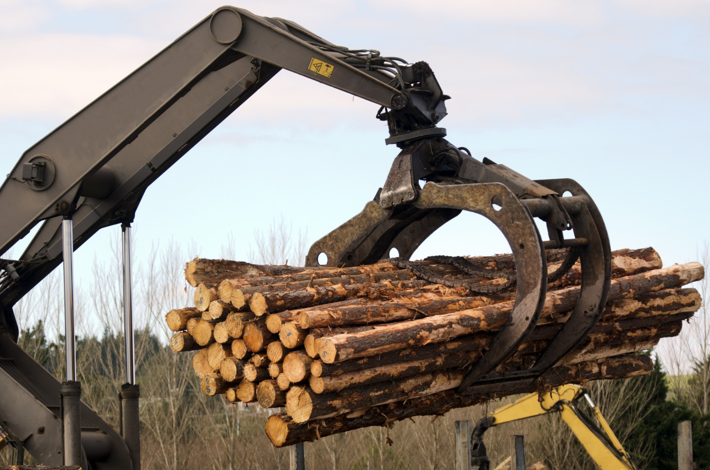 Imports of logs to Japan lose 27% in February