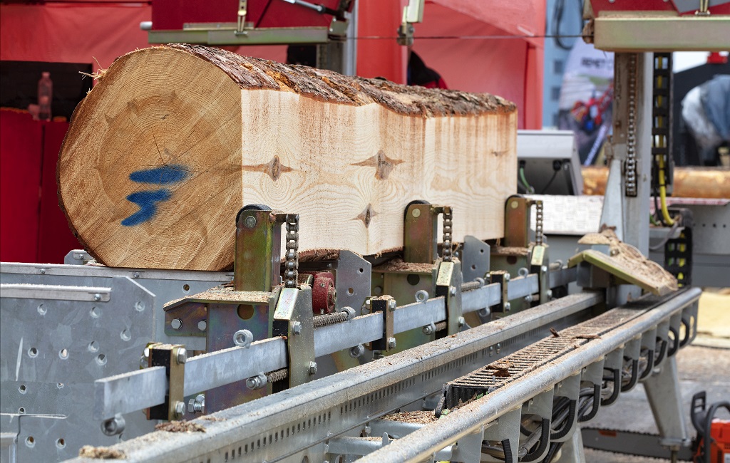 Canada invests in wood manufacturing study project